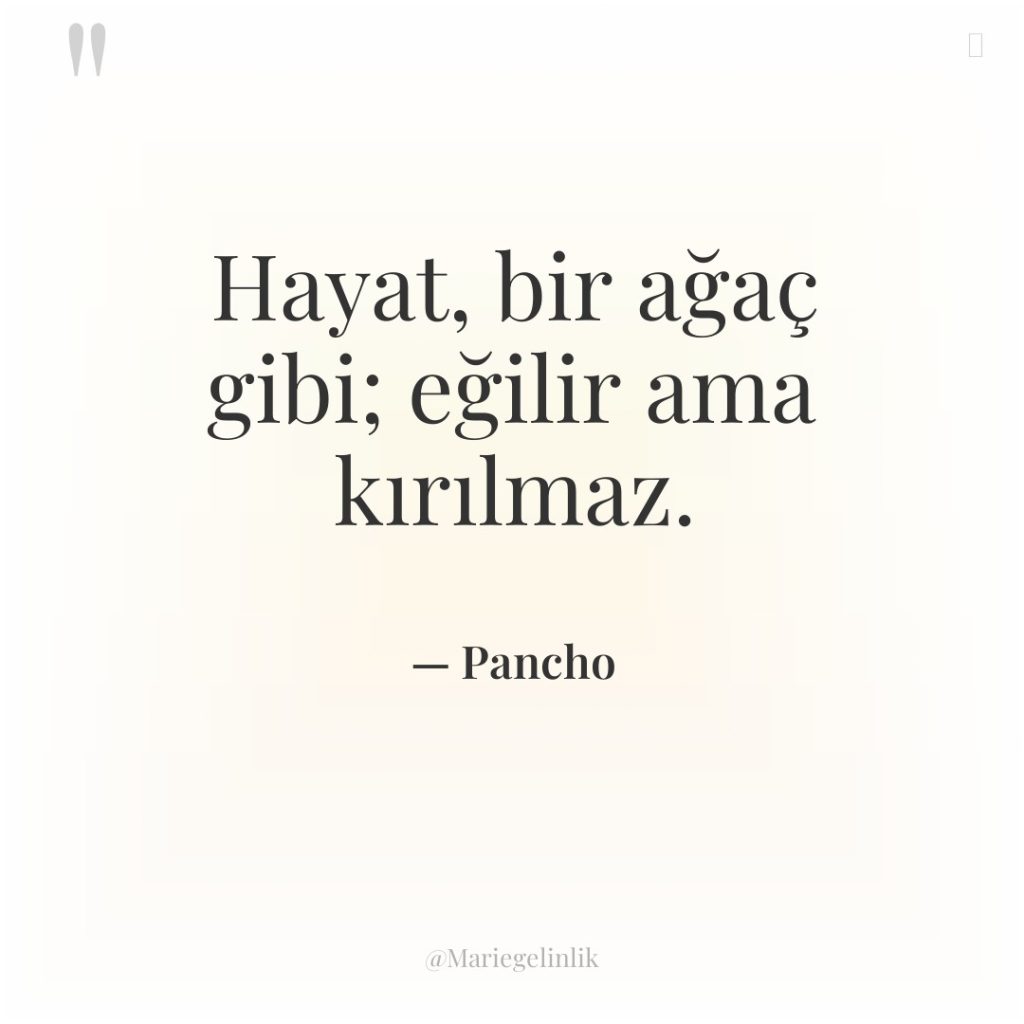 Hayat, bir ağaç gibi; eğilir ama kırılmaz.