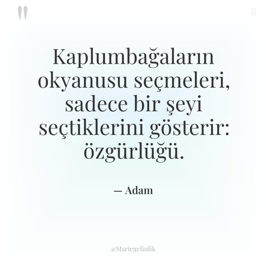 Kaplumbağaların okyanusu seçmeleri, sadece bir şeyi seçtiklerini gösterir: özgürlüğü.