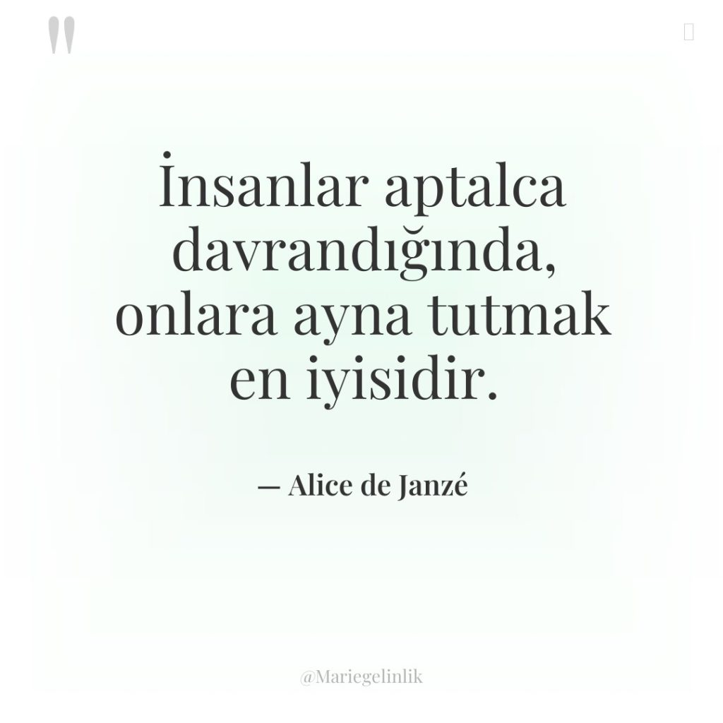 İnsanlar aptalca davrandığında, onlara ayna tutmak en iyisidir.