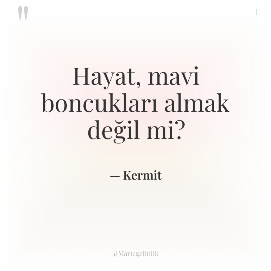 Hayat, mavi boncukları almak değil mi?