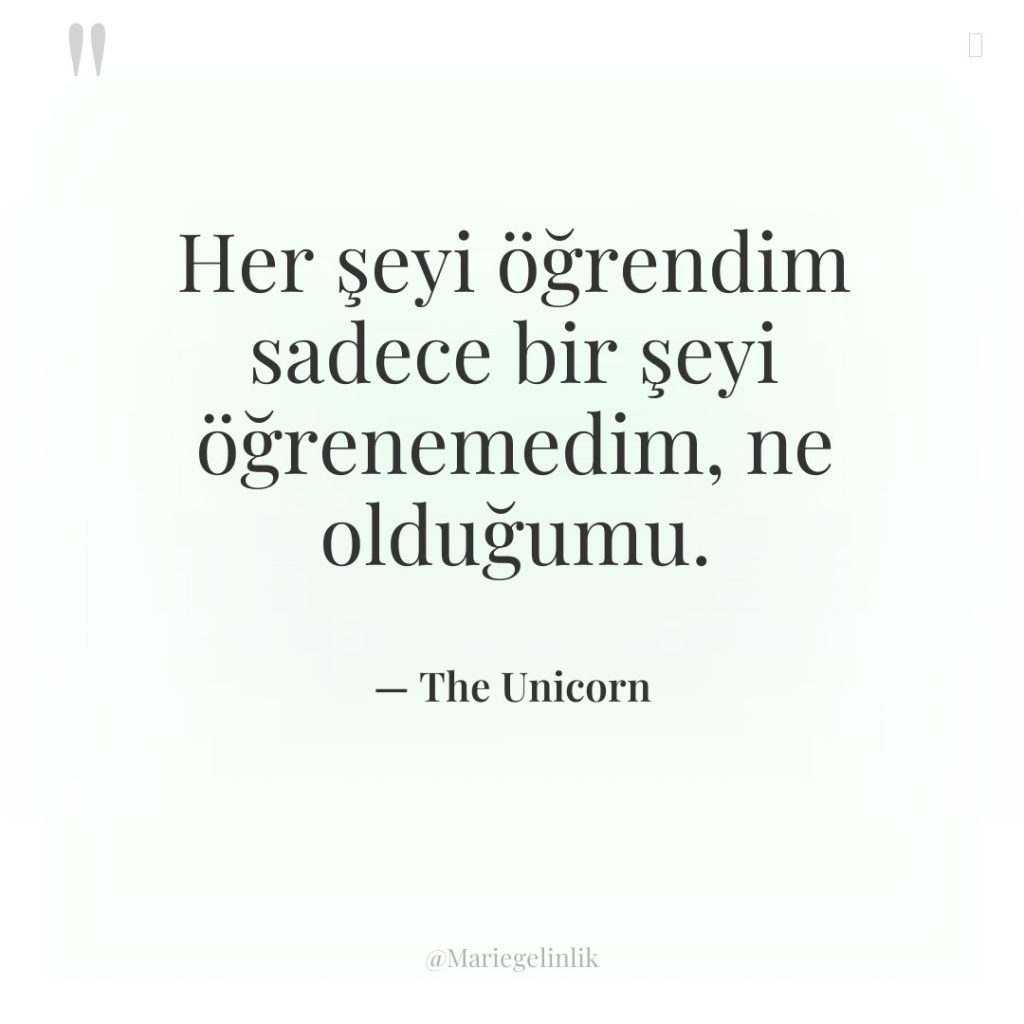 Her şeyi öğrendim sadece bir şeyi öğrenemedim, ne olduğumu.