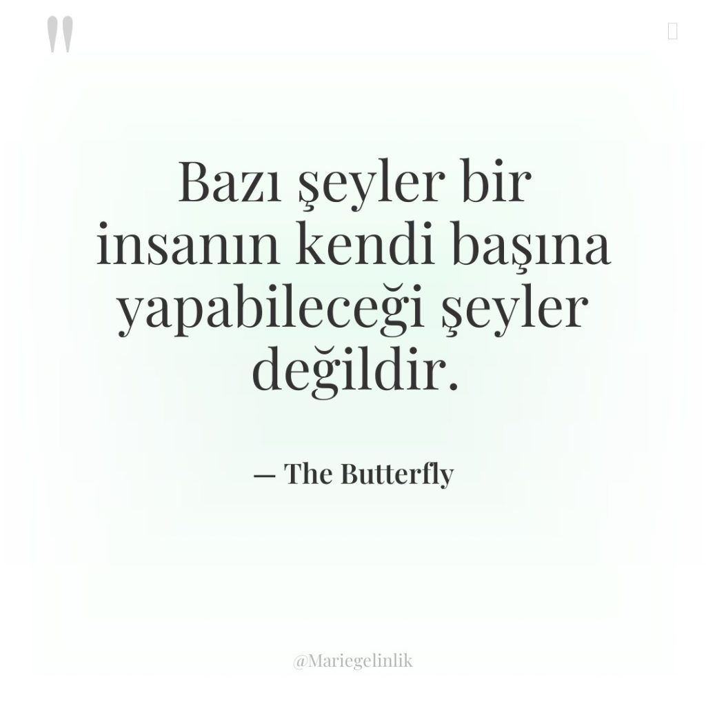 Bazı şeyler bir insanın kendi başına yapabileceği şeyler değildir.