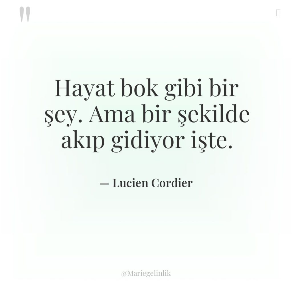 Hayat bok gibi bir şey. Ama bir şekilde akıp gidiyor…
