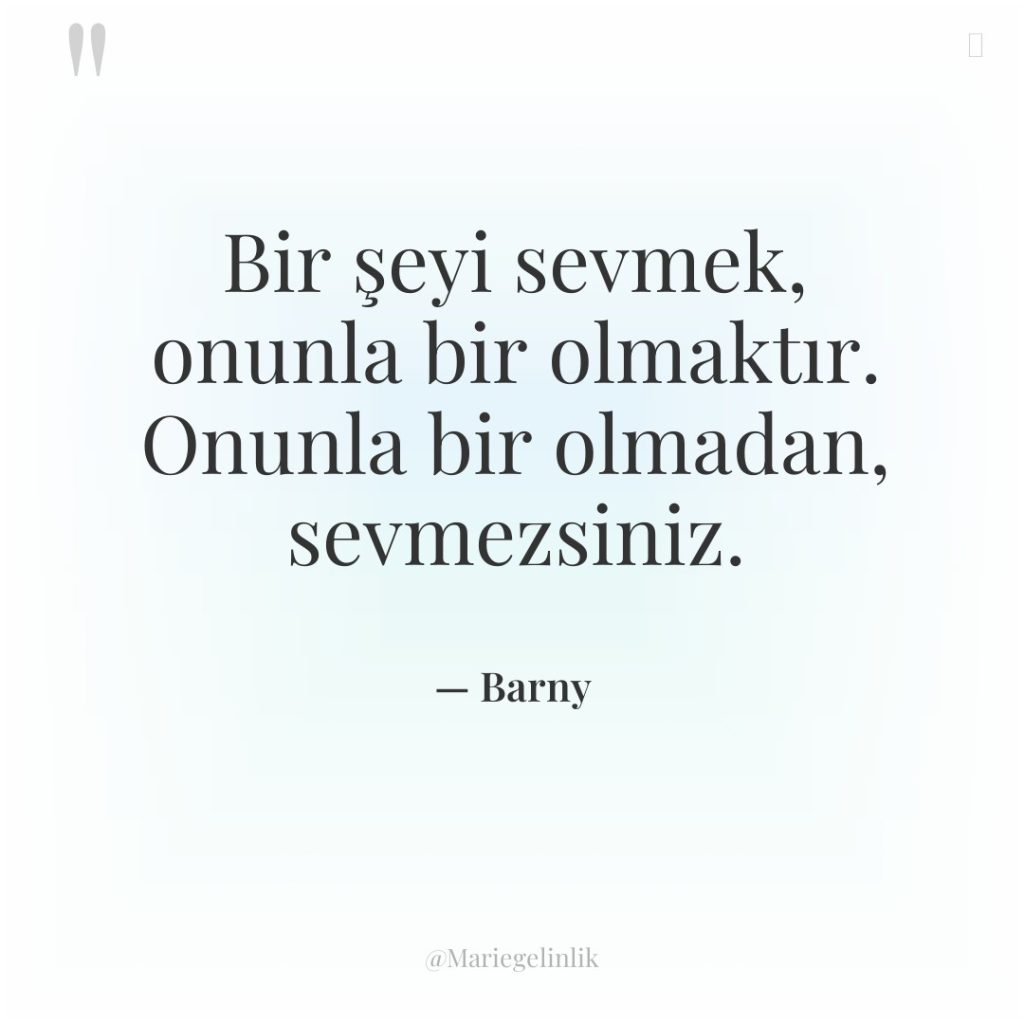 Bir şeyi sevmek, onunla bir olmaktır. Onunla bir olmadan, sevmezsiniz.