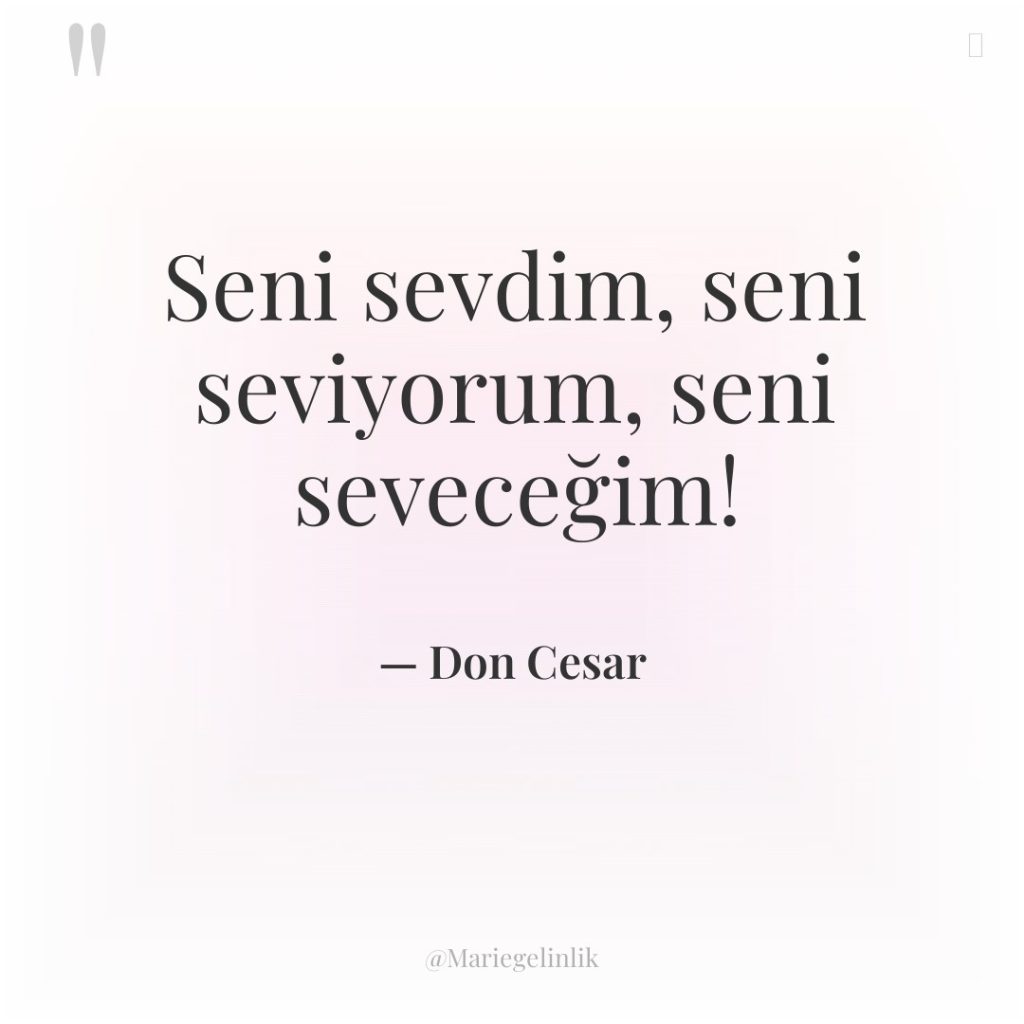 Seni sevdim, seni seviyorum, seni seveceğim!