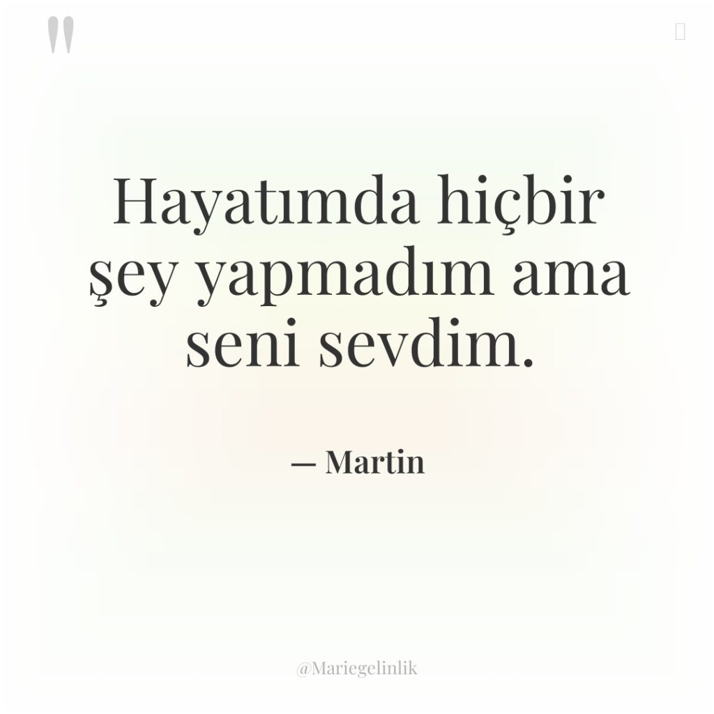 Hayatımda hiçbir şey yapmadım ama seni sevdim.