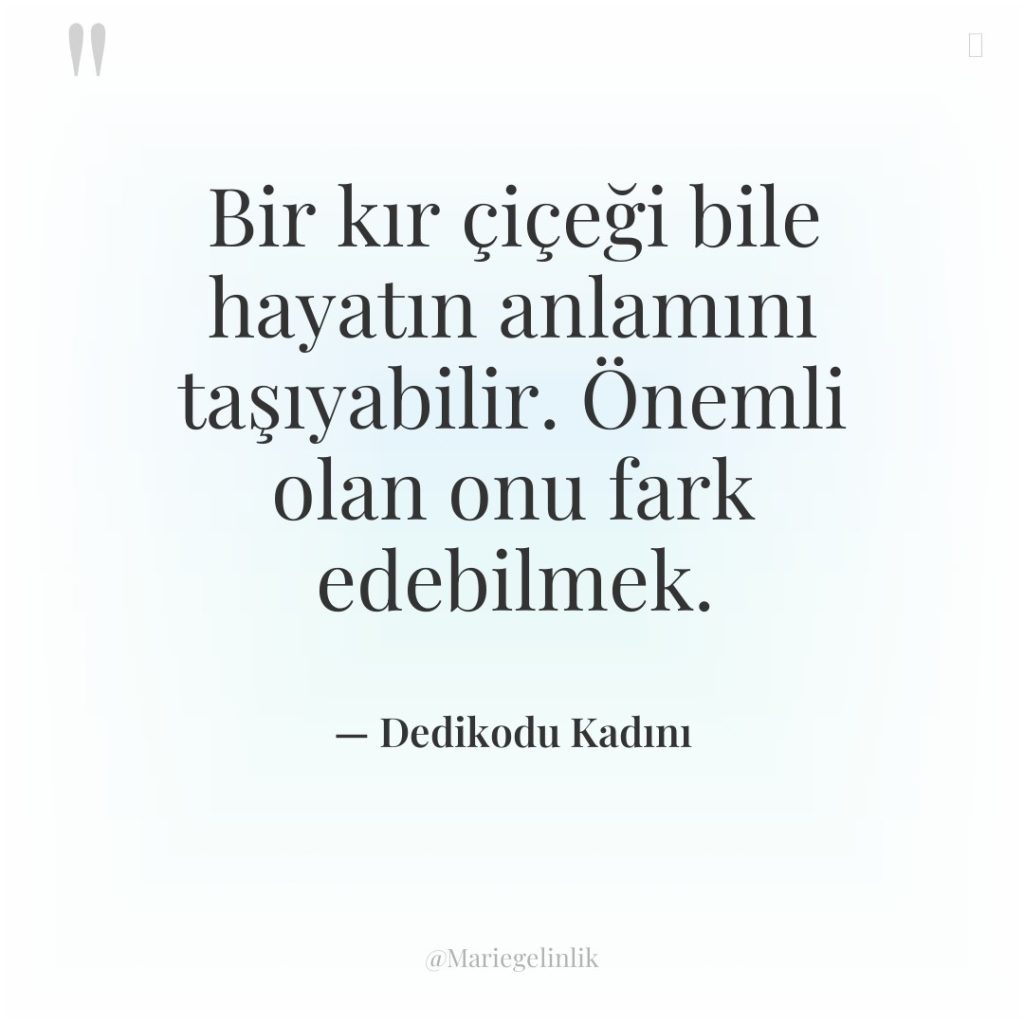 Bir kır çiçeği bile hayatın anlamını taşıyabilir. Önemli olan onu…