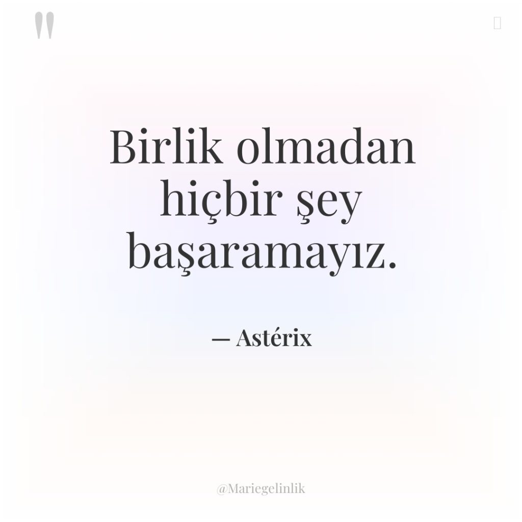 Birlik olmadan hiçbir şey başaramayız.