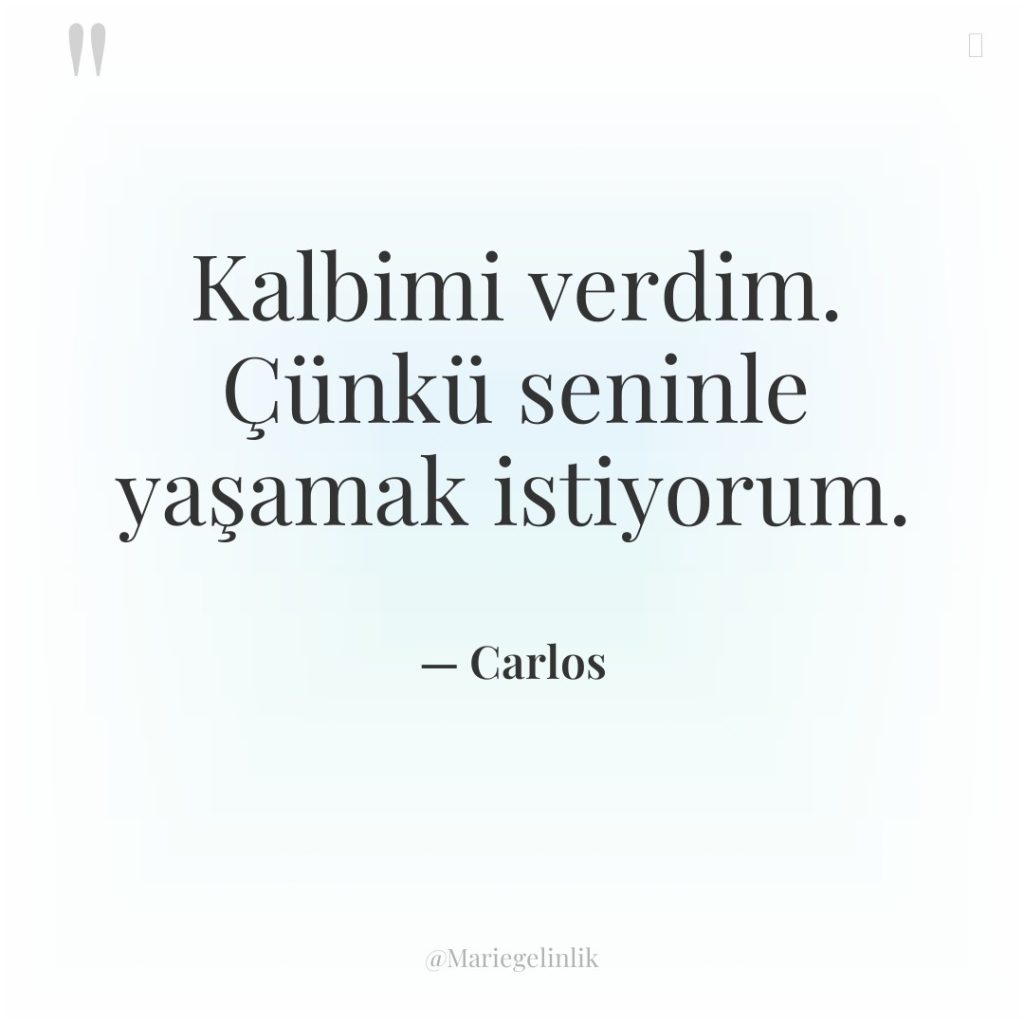 Kalbimi verdim. Çünkü seninle yaşamak istiyorum.