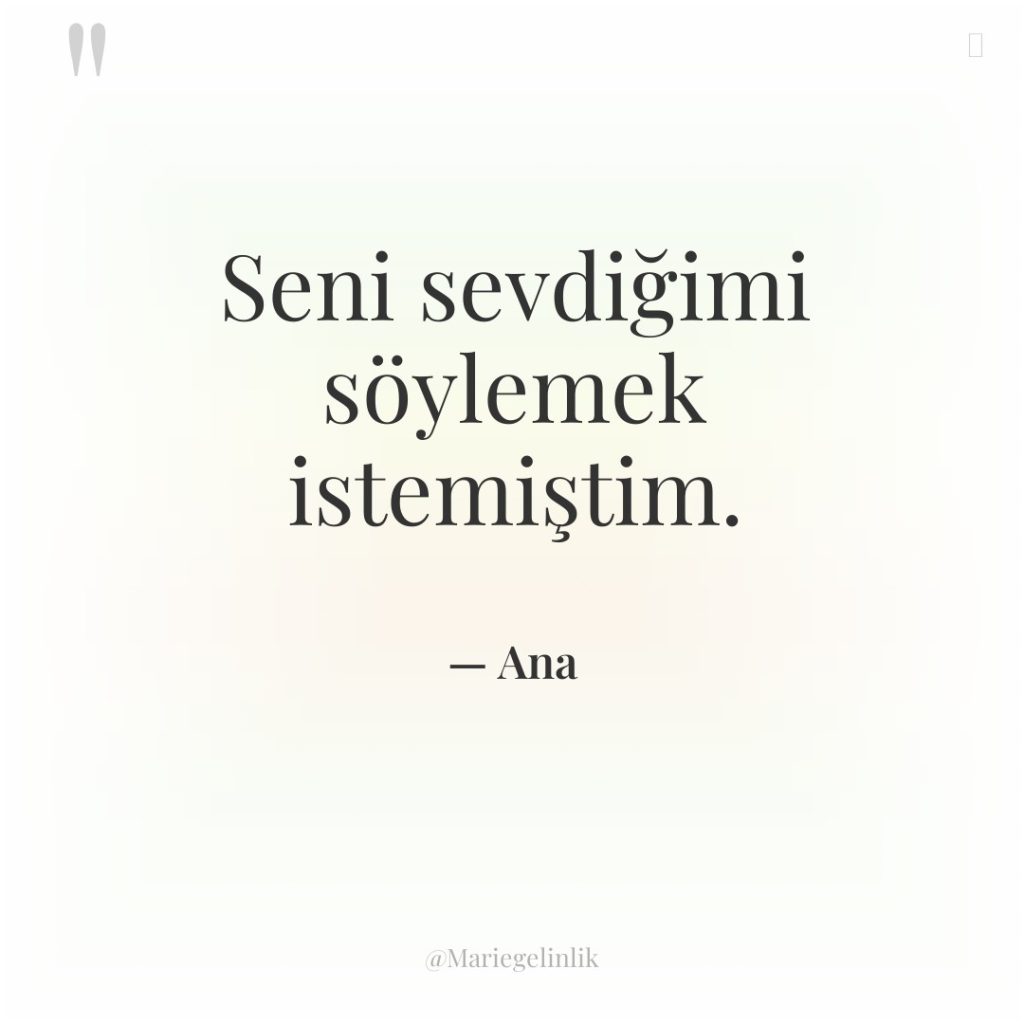 Seni sevdiğimi söylemek istemiştim.