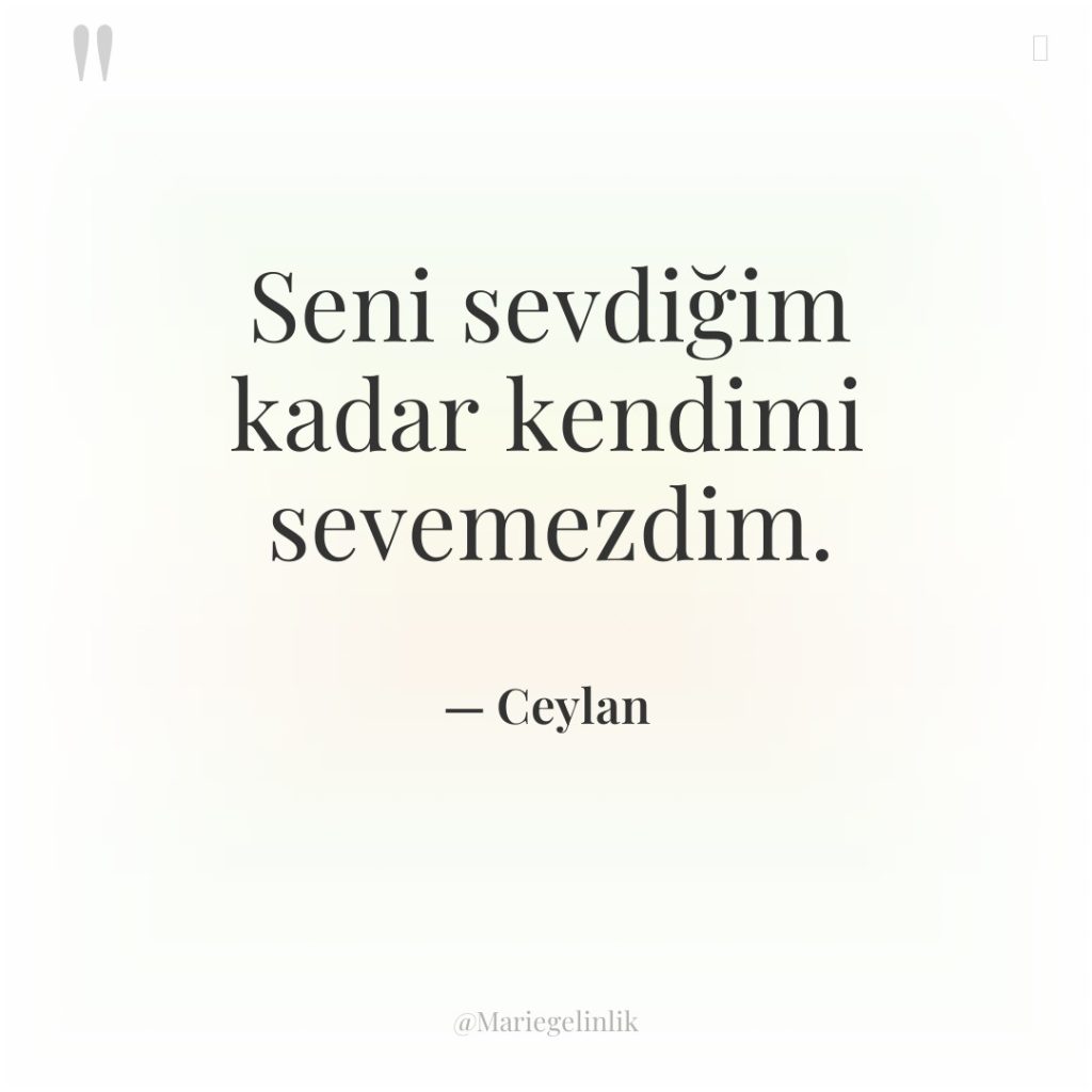 Seni sevdiğim kadar kendimi sevemezdim.