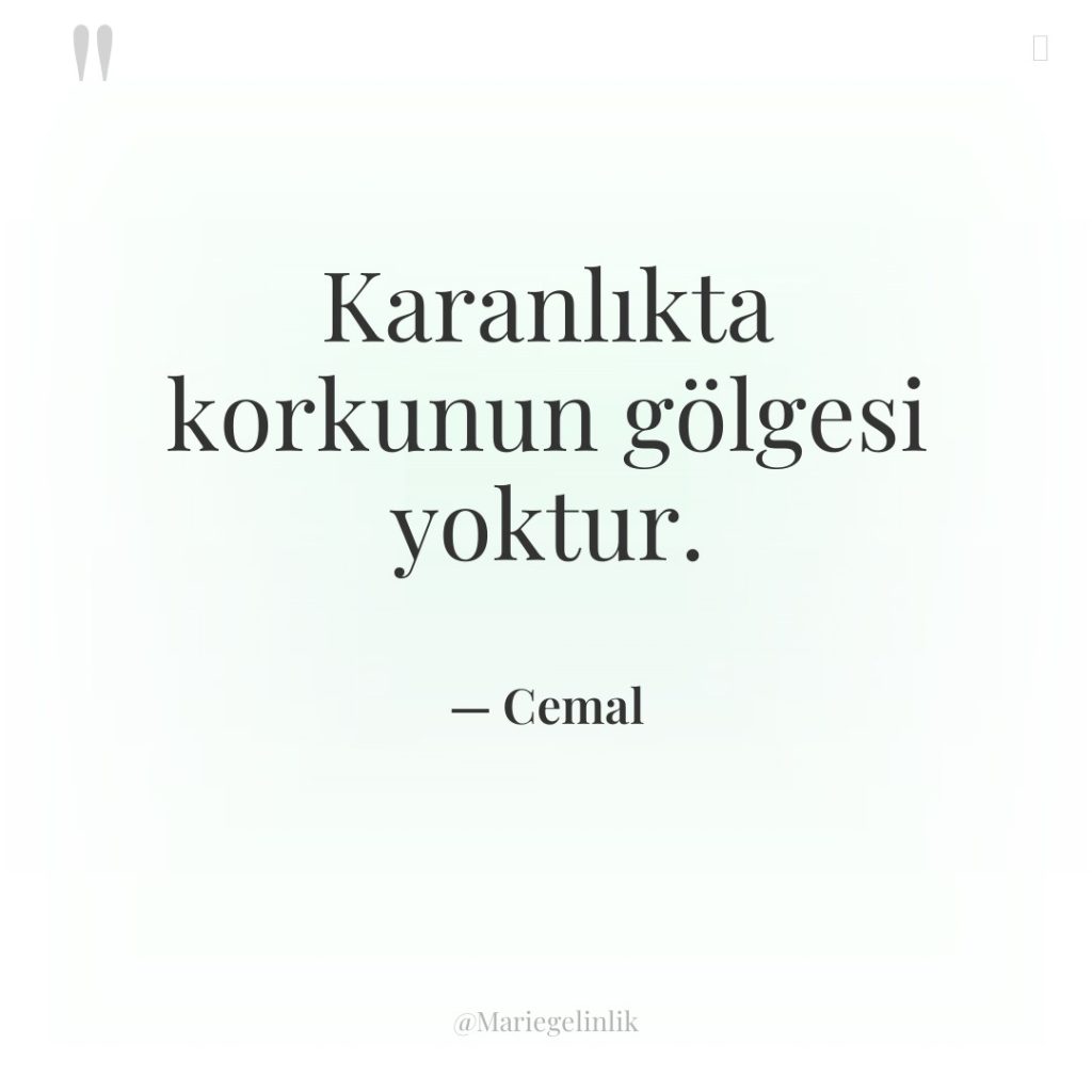 Karanlıkta korkunun gölgesi yoktur.