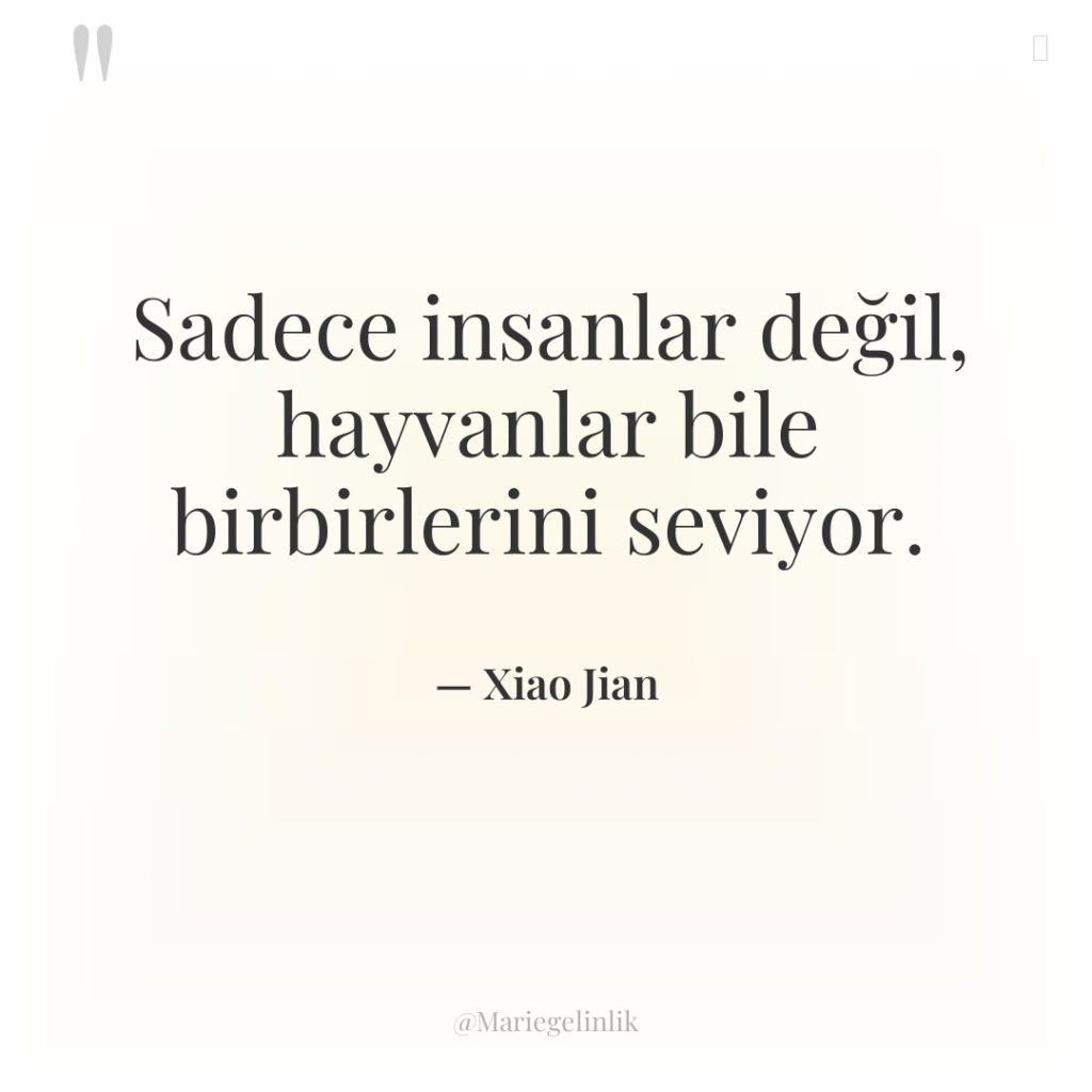 Sadece insanlar değil, hayvanlar bile birbirlerini seviyor.