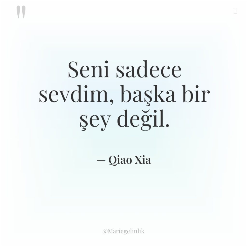 Seni sadece sevdim, başka bir şey değil.