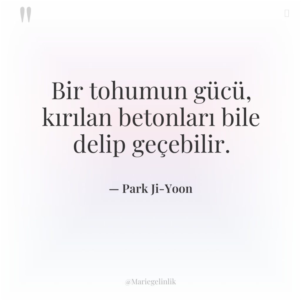 Bir tohumun gücü, kırılan betonları bile delip geçebilir.