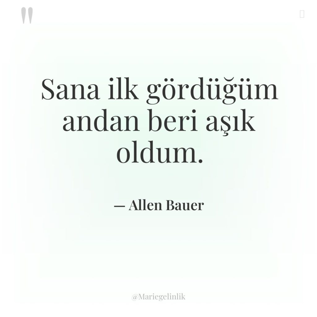 Sana ilk gördüğüm andan beri aşık oldum.