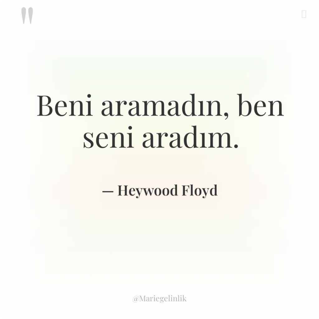 Beni aramadın, ben seni aradım.