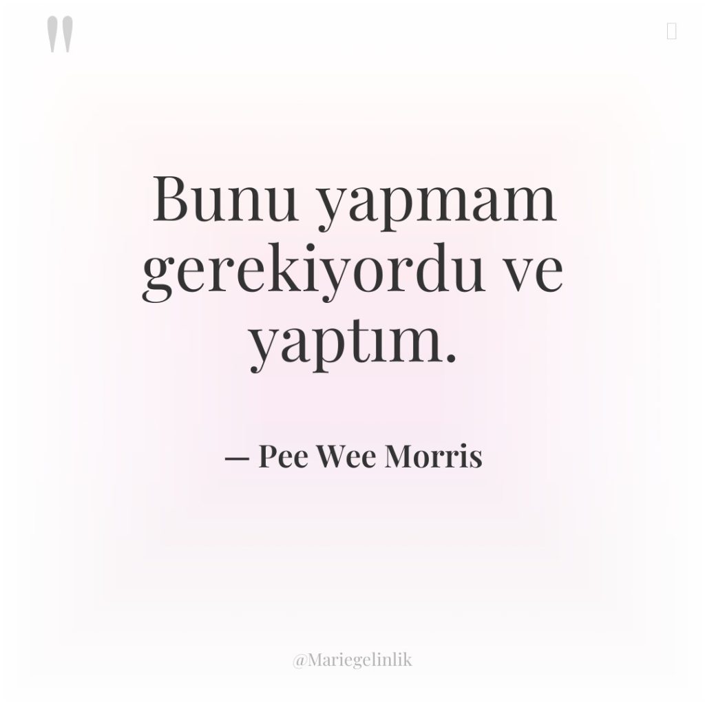 Bunu yapmam gerekiyordu ve yaptım.