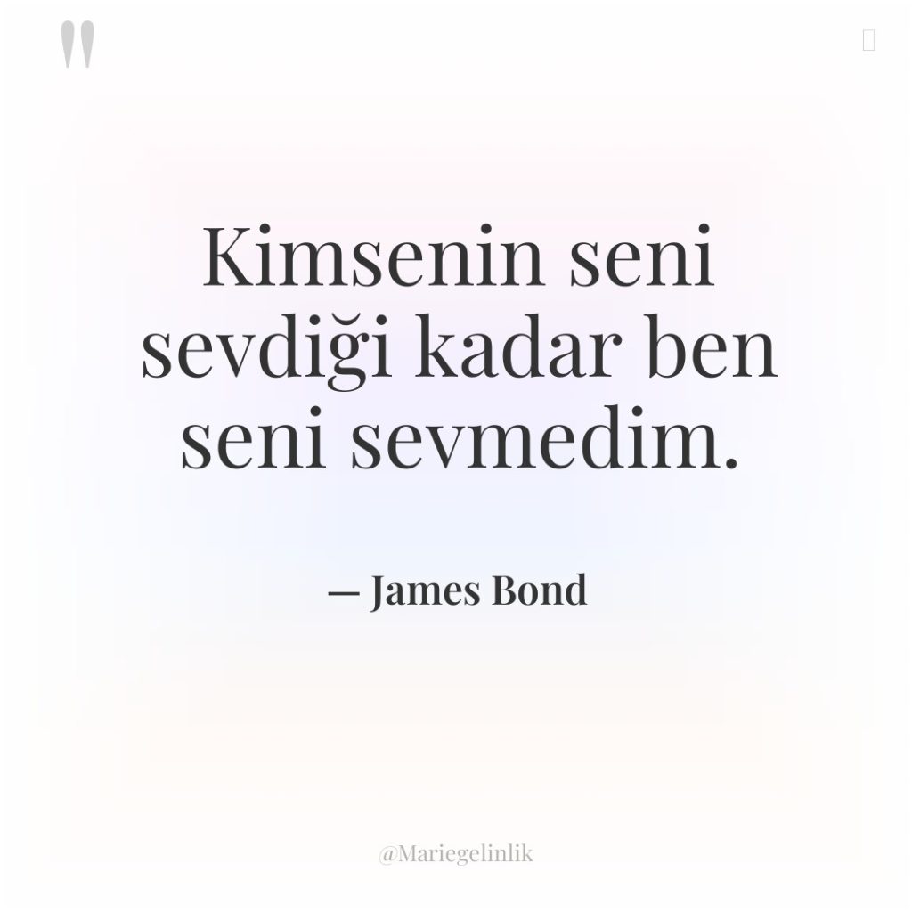 Kimsenin seni sevdiği kadar ben seni sevmedim.