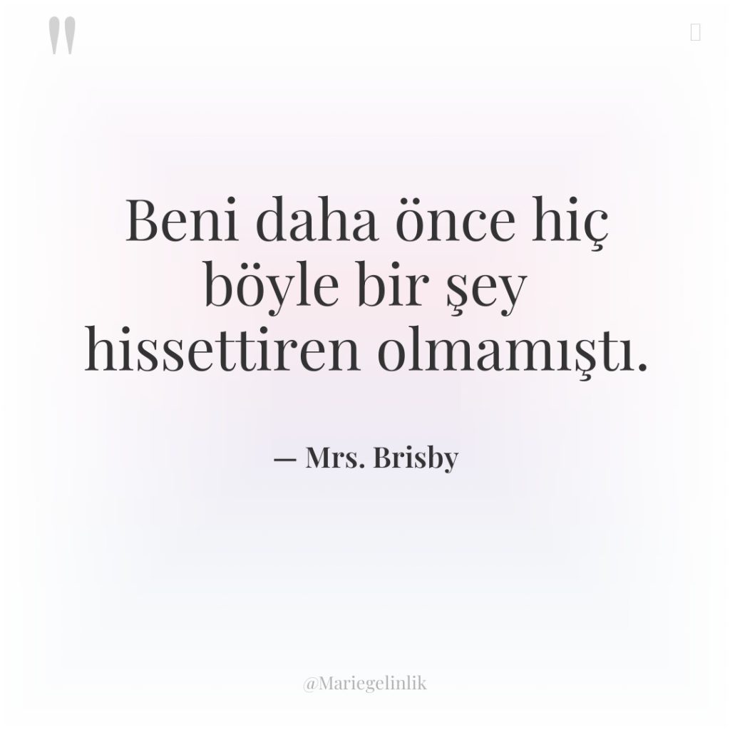 Beni daha önce hiç böyle bir şey hissettiren olmamıştı.