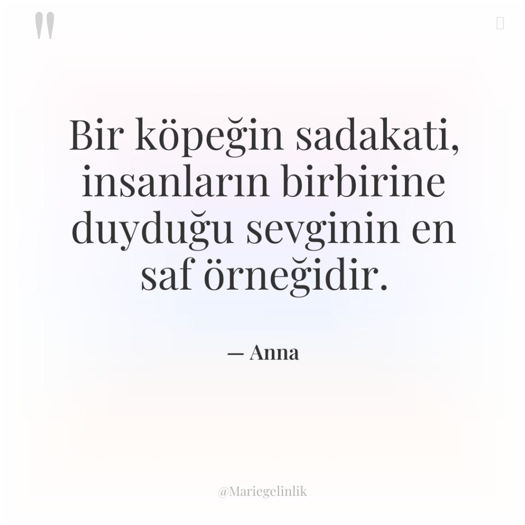 Bir köpeğin sadakati, insanların birbirine duyduğu sevginin en saf örneğidir.