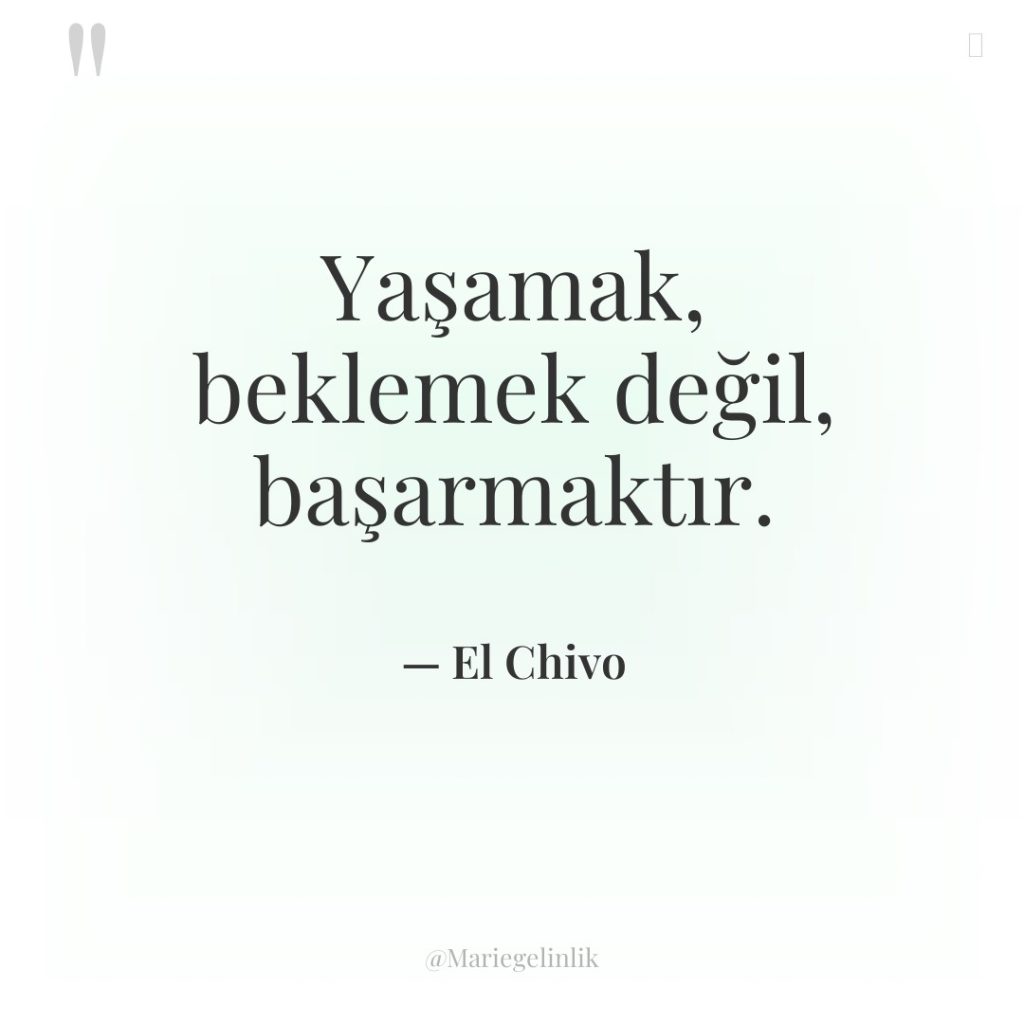 Yaşamak, beklemek değil, başarmaktır.