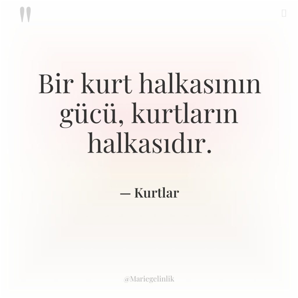 Bir kurt halkasının gücü, kurtların halkasıdır.