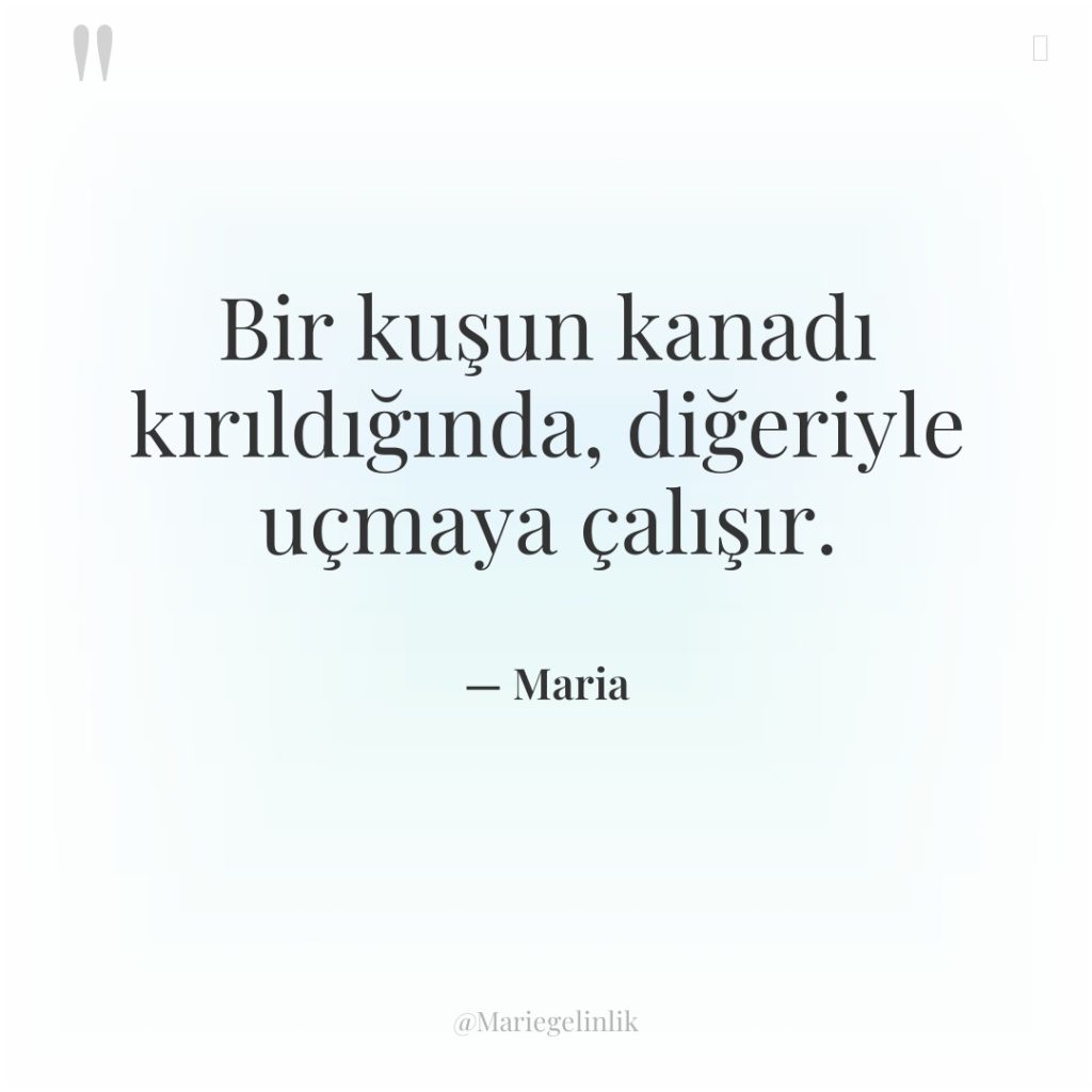 Bir kuşun kanadı kırıldığında, diğeriyle uçmaya çalışır.