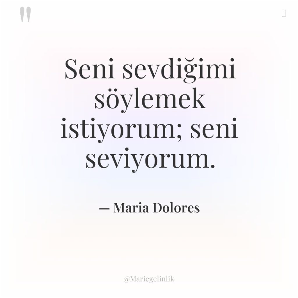 Seni sevdiğimi söylemek istiyorum; seni seviyorum.