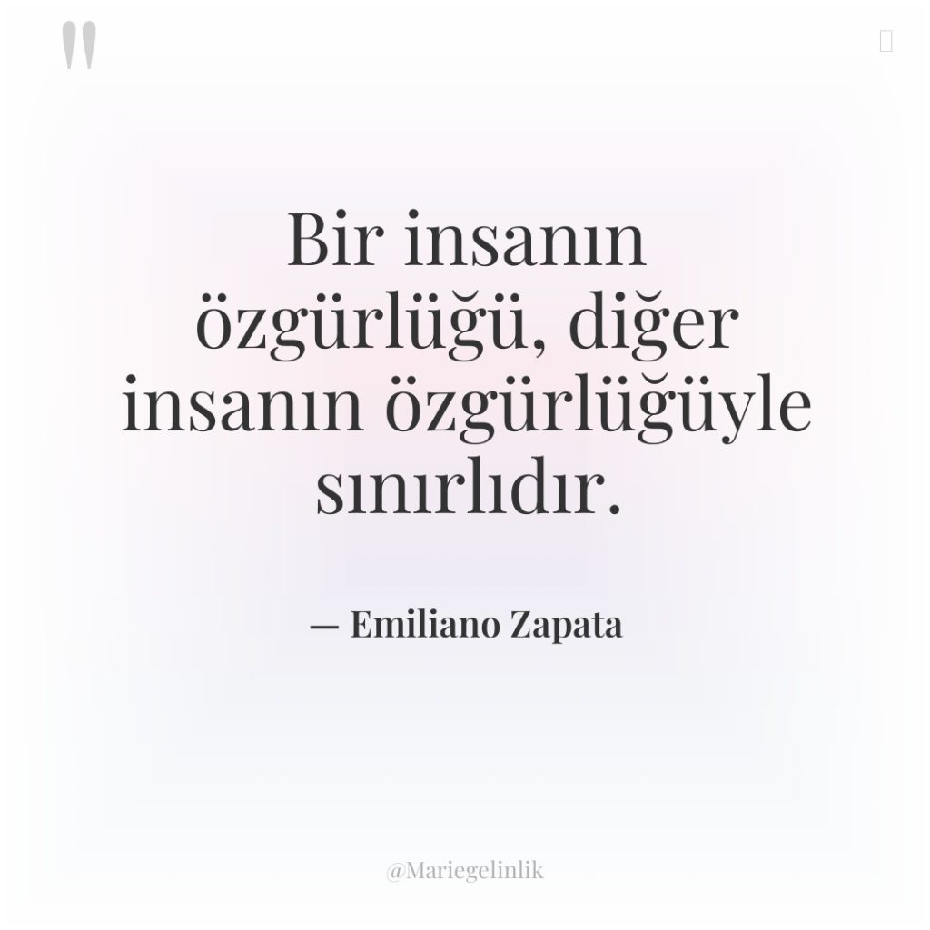 Bir insanın özgürlüğü, diğer insanın özgürlüğüyle sınırlıdır.