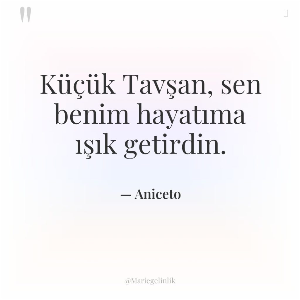 Küçük Tavşan, sen benim hayatıma ışık getirdin.