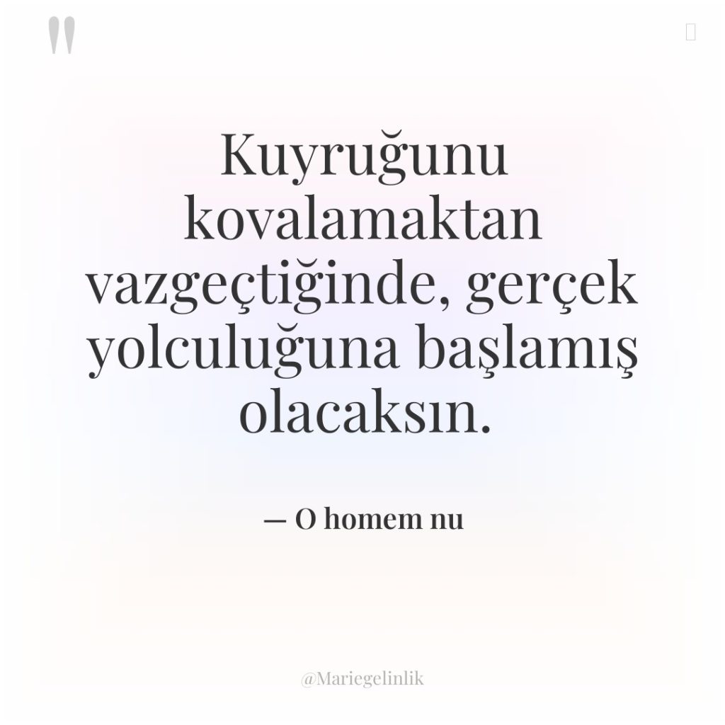 Kuyruğunu kovalamaktan vazgeçtiğinde, gerçek yolculuğuna başlamış olacaksın.