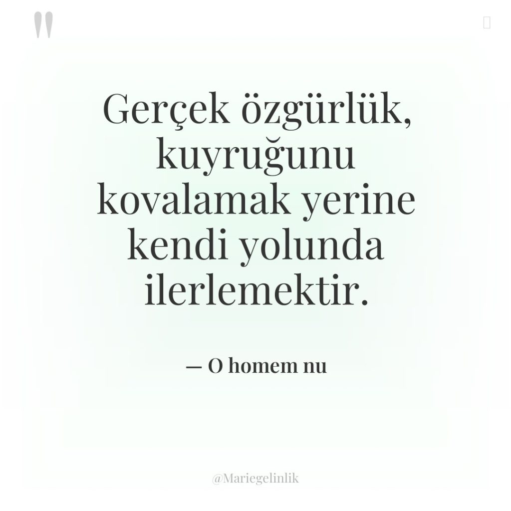 Gerçek özgürlük, kuyruğunu kovalamak yerine kendi yolunda ilerlemektir.