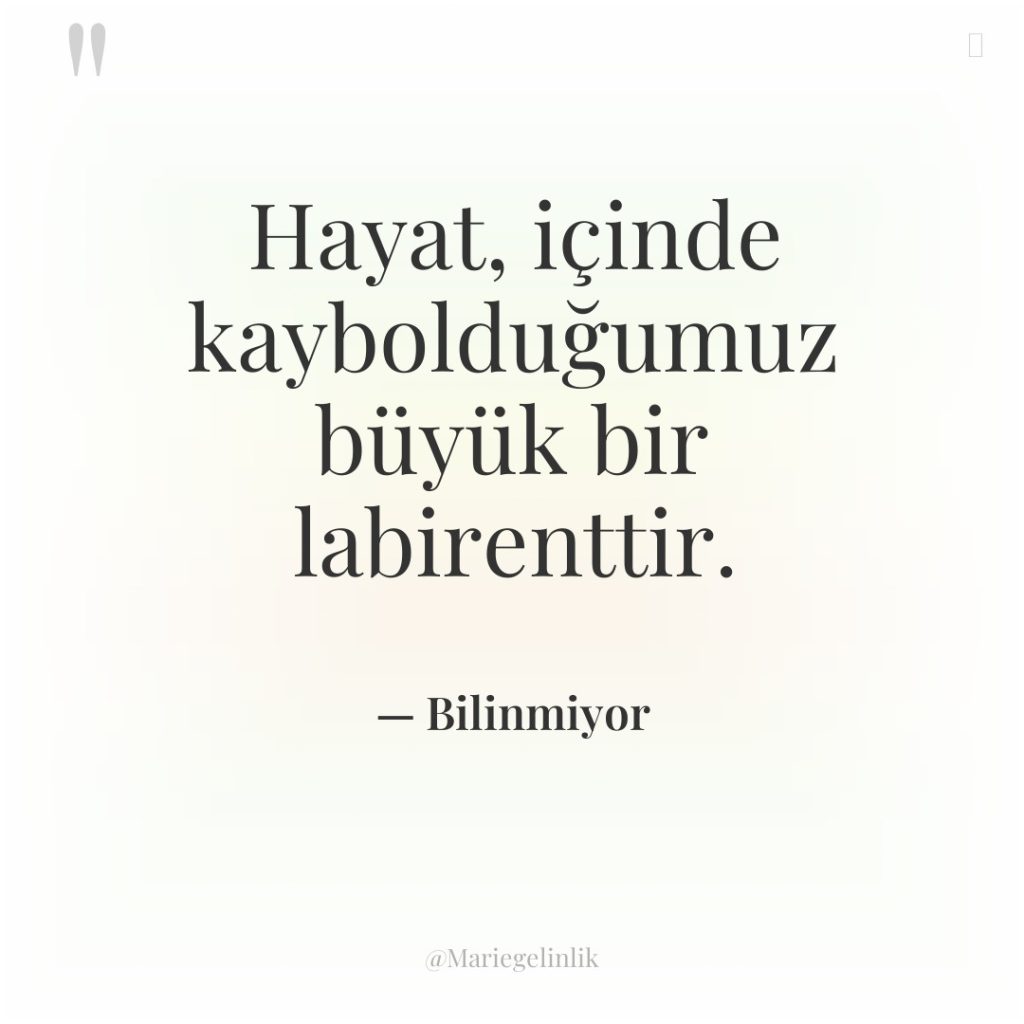 Hayat, içinde kaybolduğumuz büyük bir labirenttir.