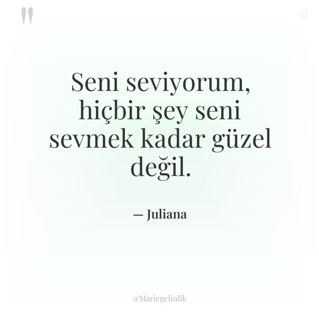 Seni seviyorum, hiçbir şey seni sevmek kadar güzel değil.