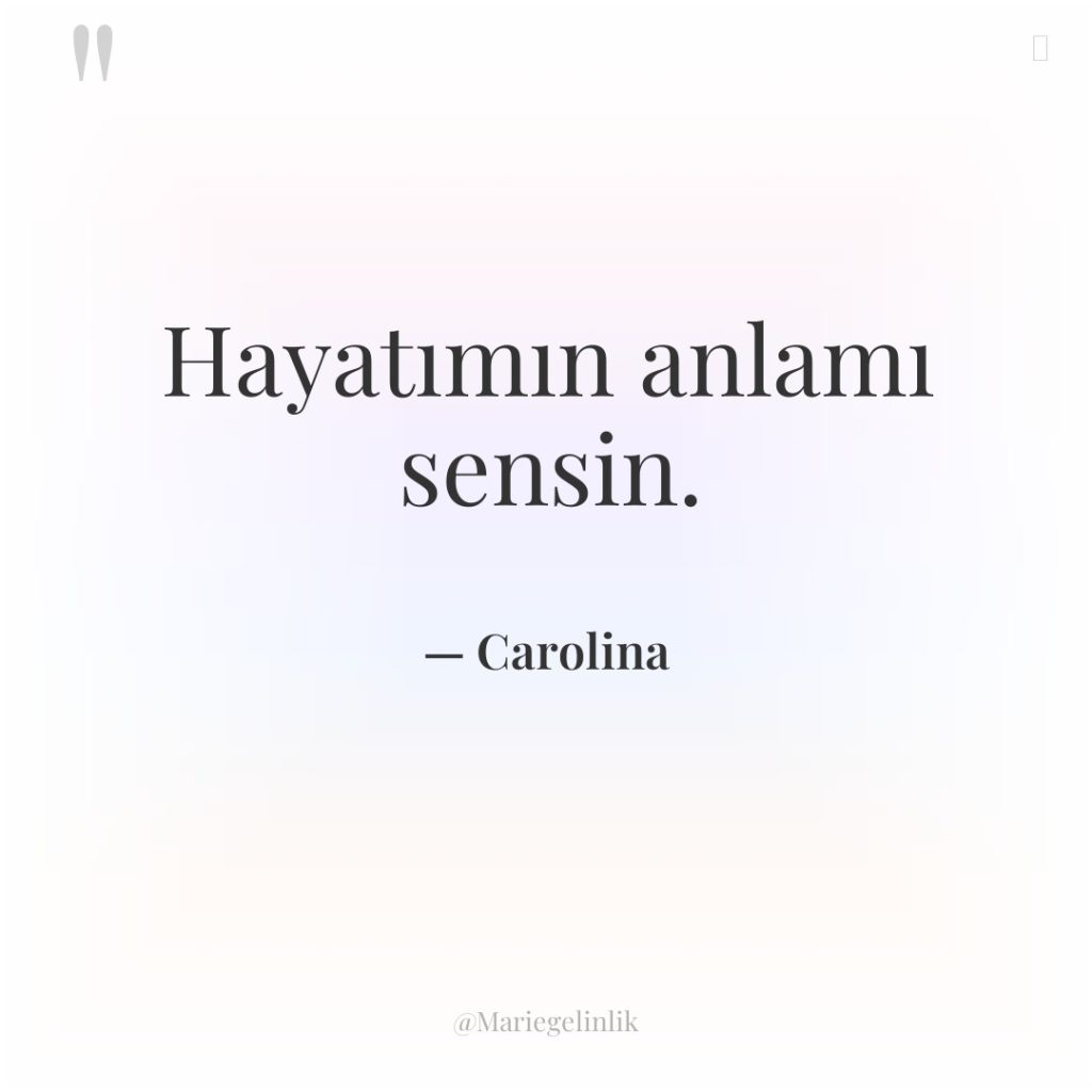 Hayatımın anlamı sensin.