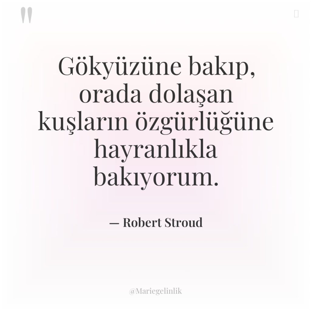 Gökyüzüne bakıp, orada dolaşan kuşların özgürlüğüne hayranlıkla bakıyorum.