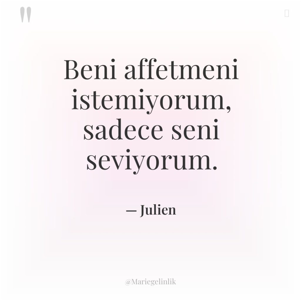 Beni affetmeni istemiyorum, sadece seni seviyorum.