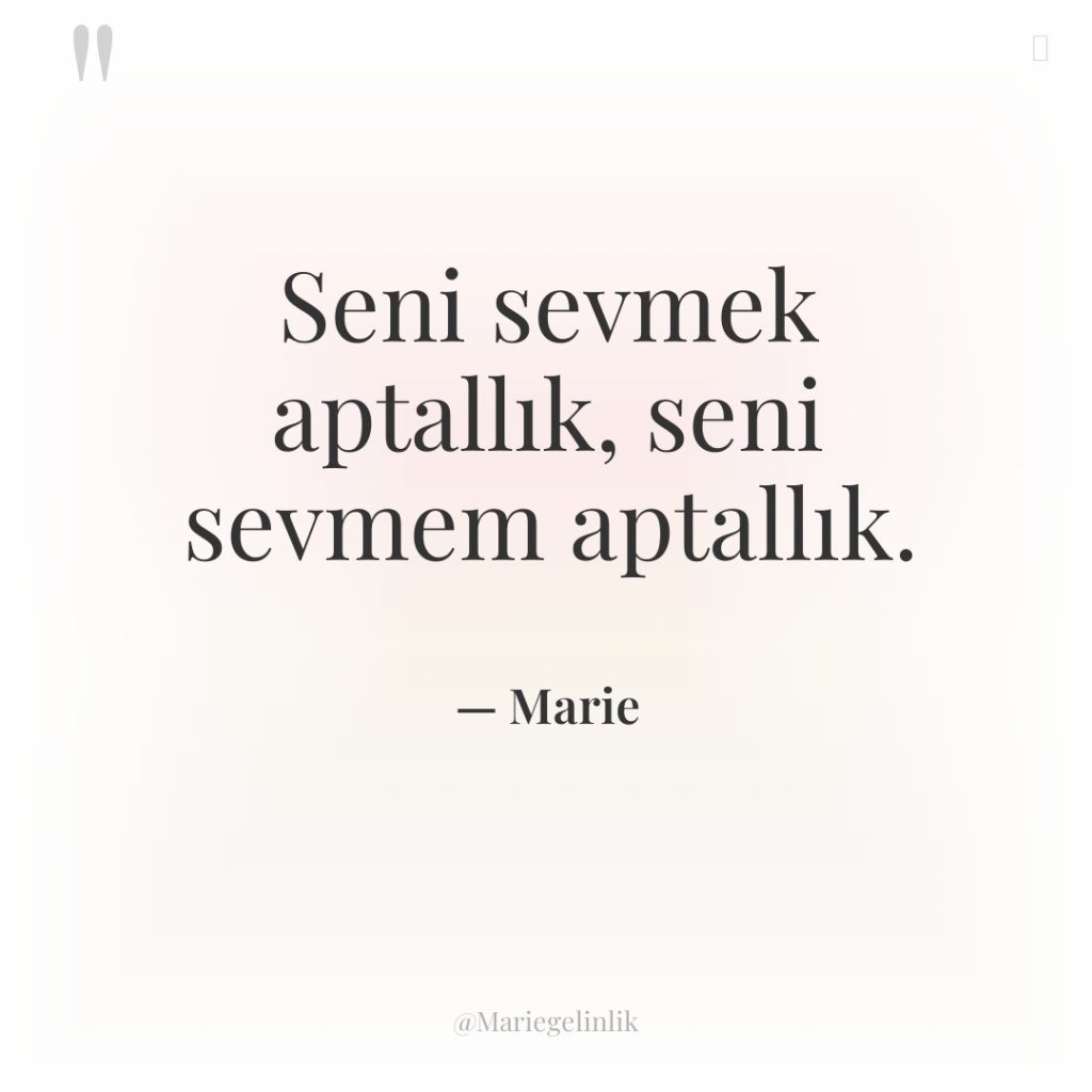 Seni sevmek aptallık, seni sevmem aptallık.