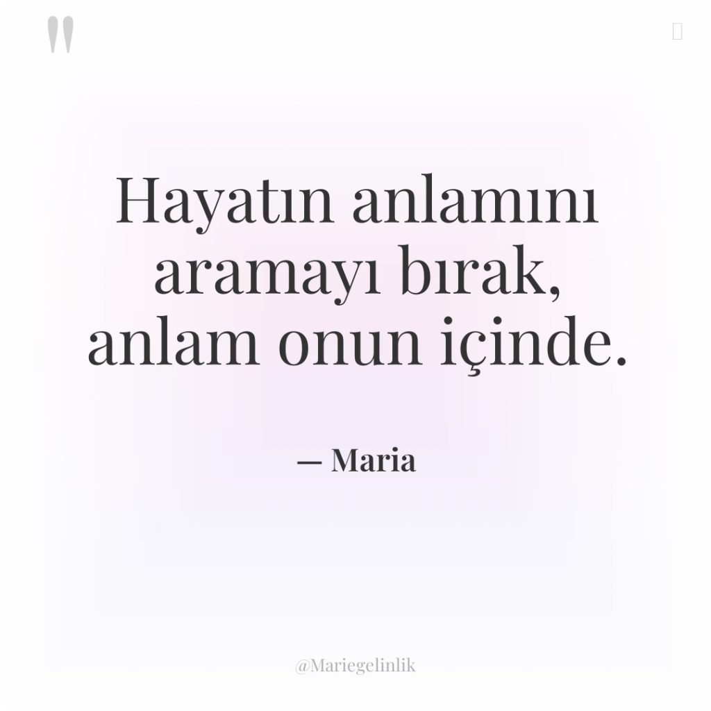 Hayatın anlamını aramayı bırak, anlam onun içinde.