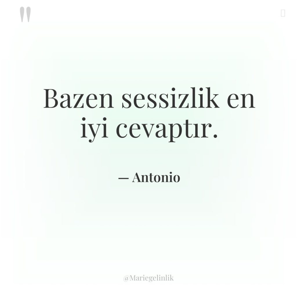 Bazen sessizlik en iyi cevaptır.