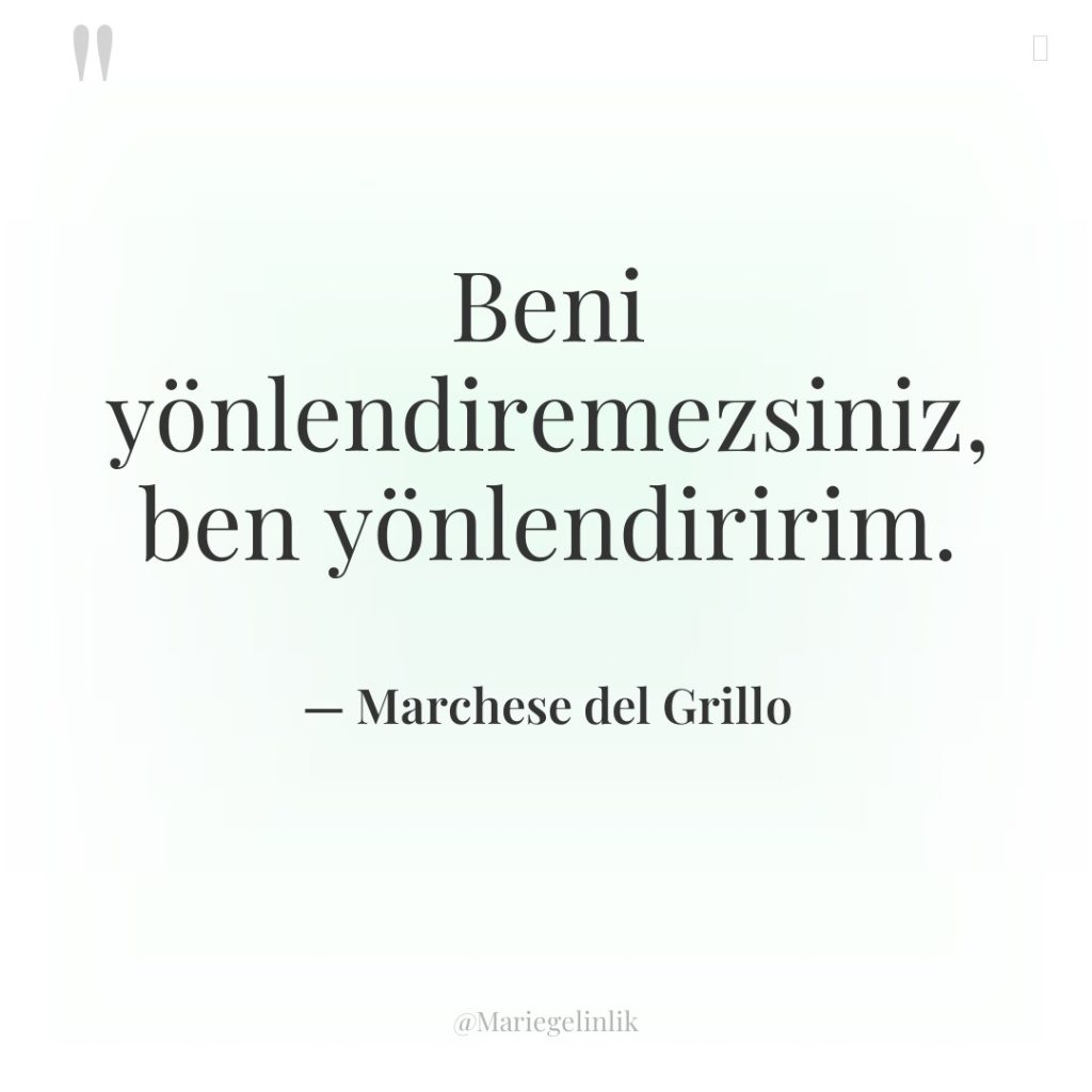 Beni yönlendiremezsiniz, ben yönlendiririm.