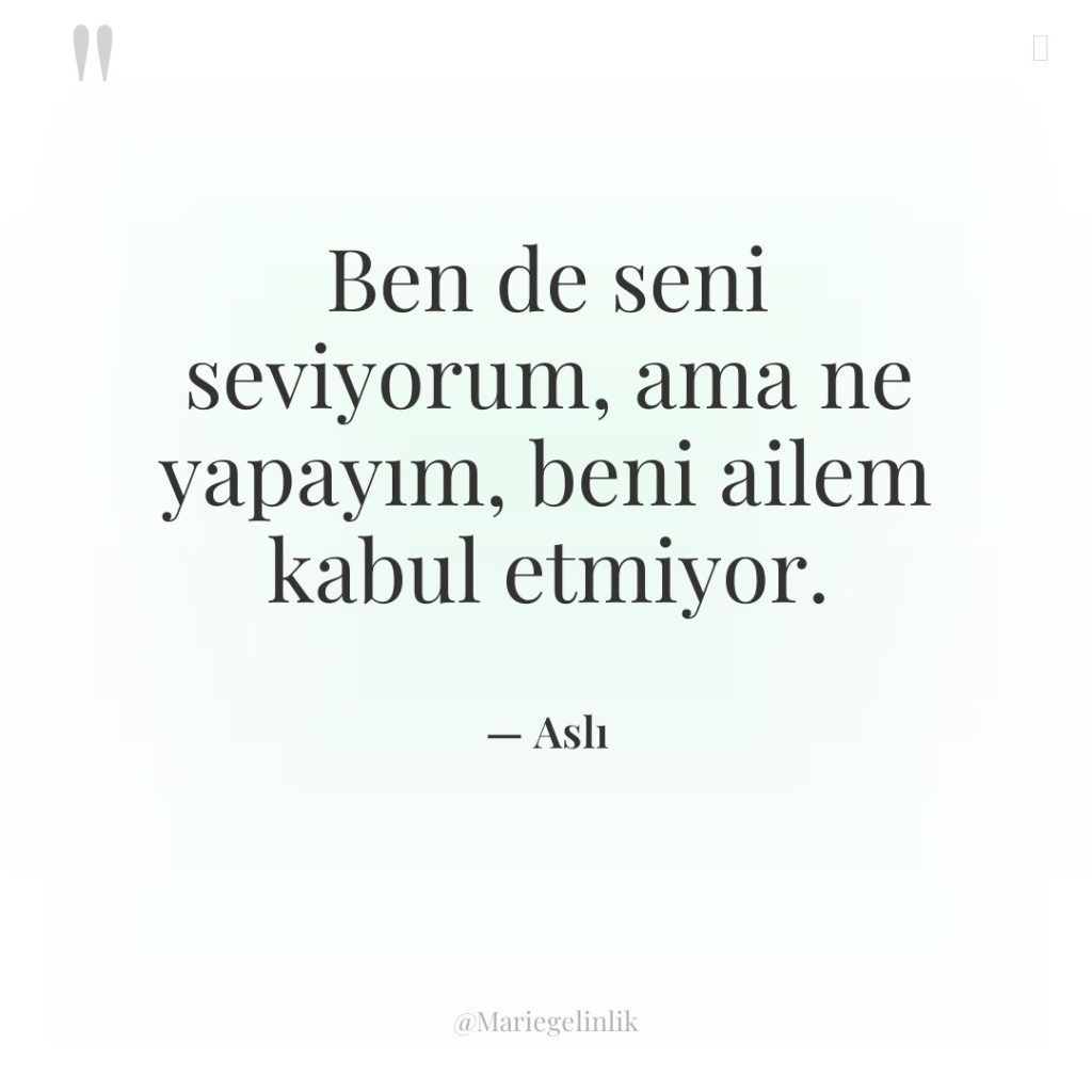 Ben de seni seviyorum, ama ne yapayım, beni ailem kabul…