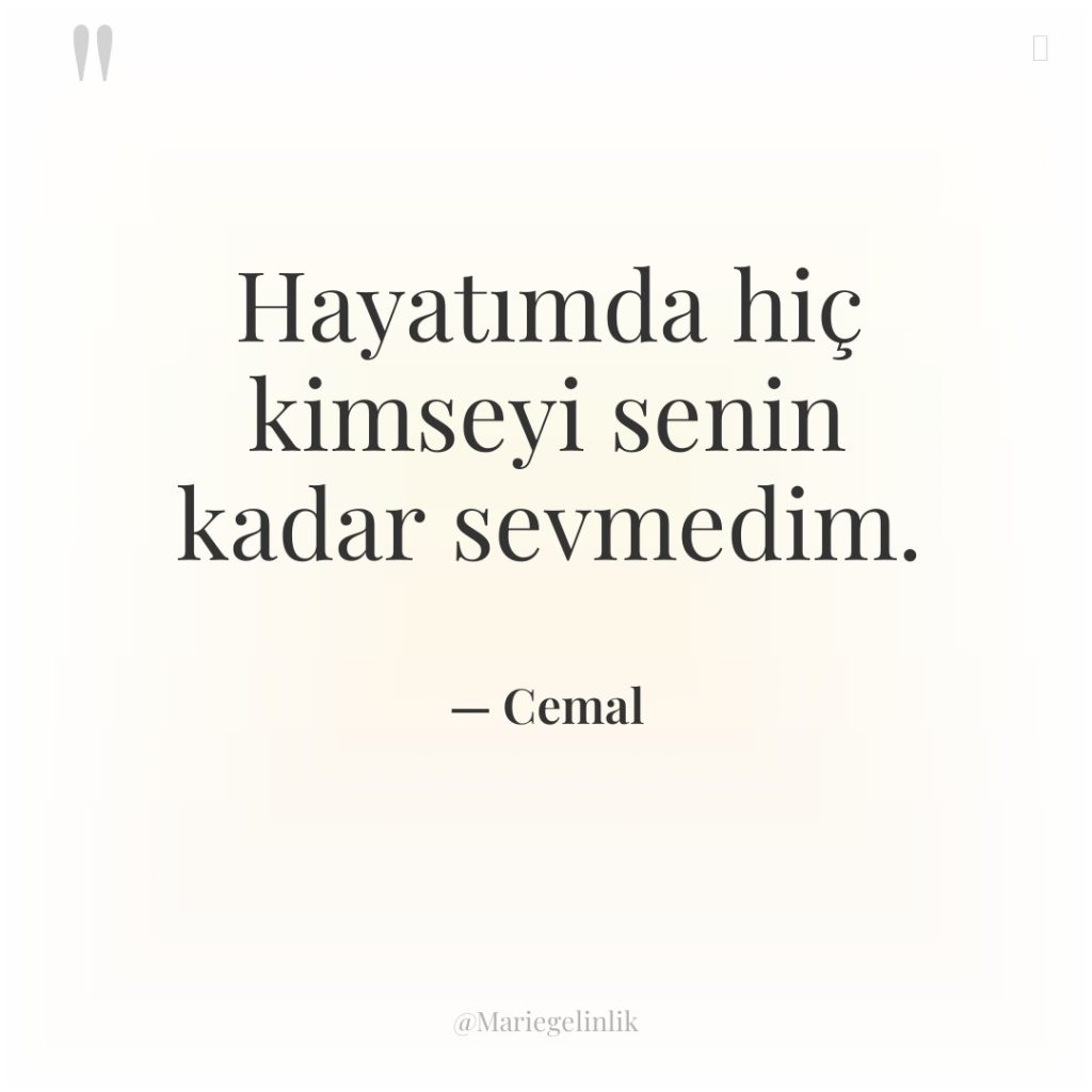 Hayatımda hiç kimseyi senin kadar sevmedim.