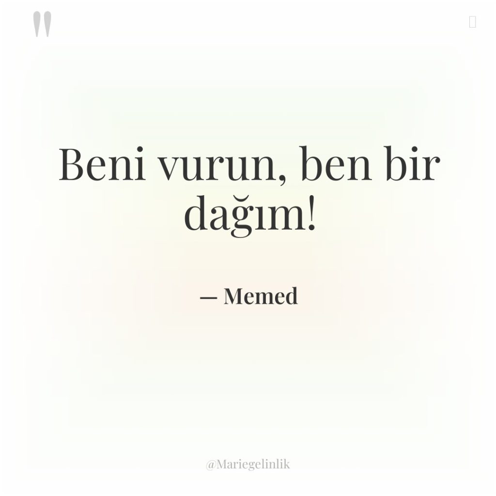 Beni vurun, ben bir dağım!