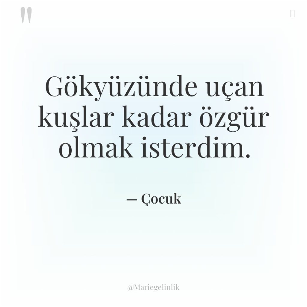 Gökyüzünde uçan kuşlar kadar özgür olmak isterdim.