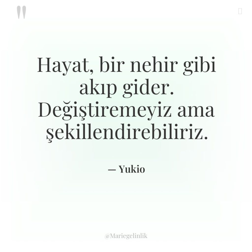 Hayat, bir nehir gibi akıp gider. Değiştiremeyiz ama şekillendirebiliriz.