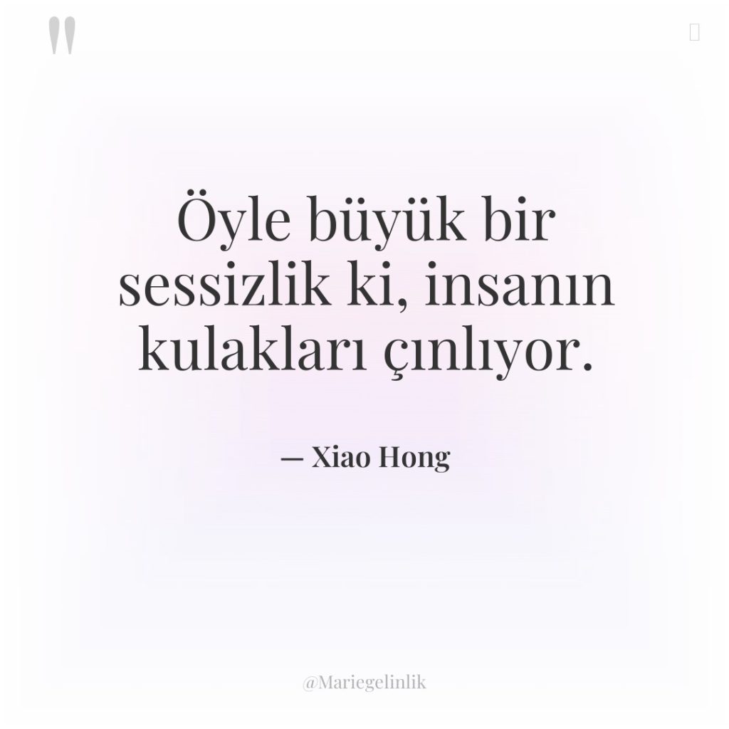 Öyle büyük bir sessizlik ki, insanın kulakları çınlıyor.