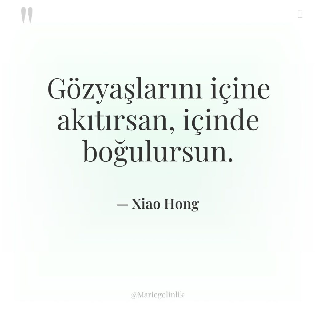 Gözyaşlarını içine akıtırsan, içinde boğulursun.