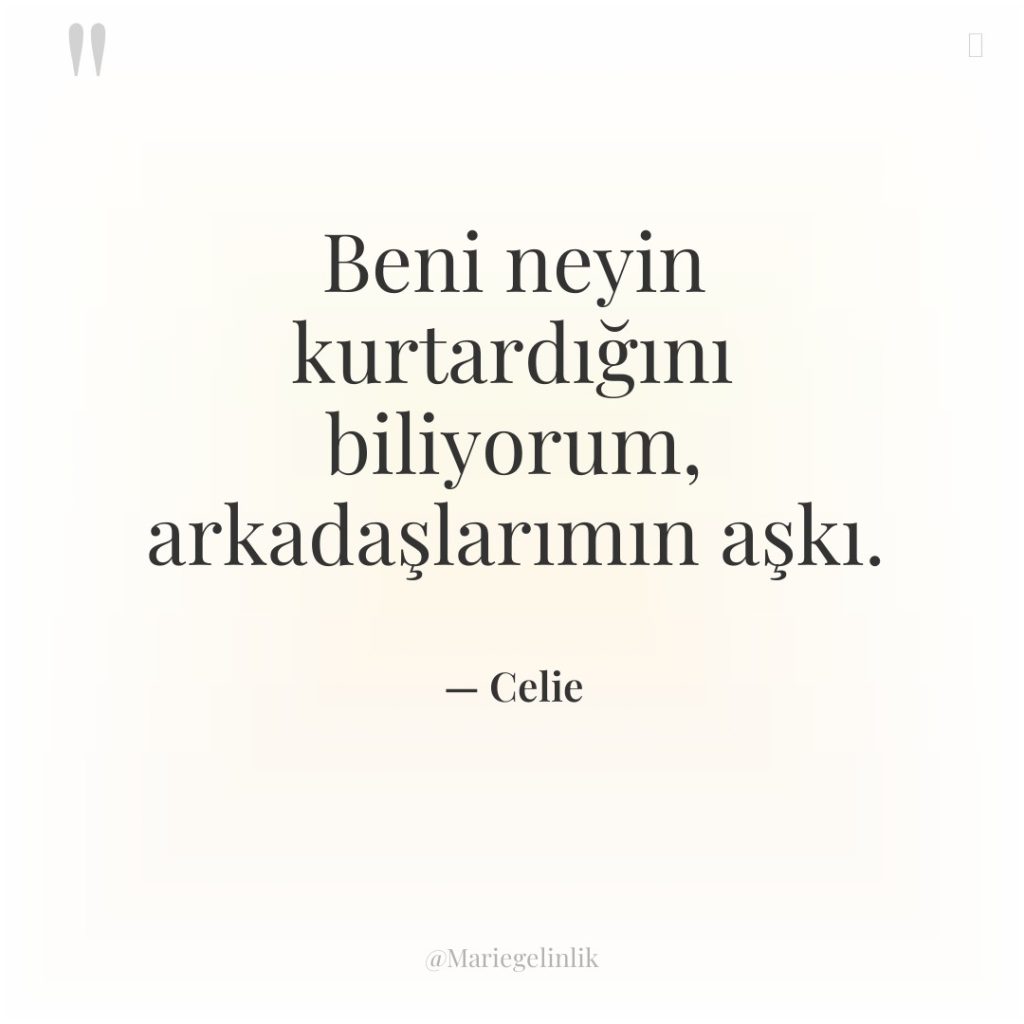 Beni neyin kurtardığını biliyorum, arkadaşlarımın aşkı.